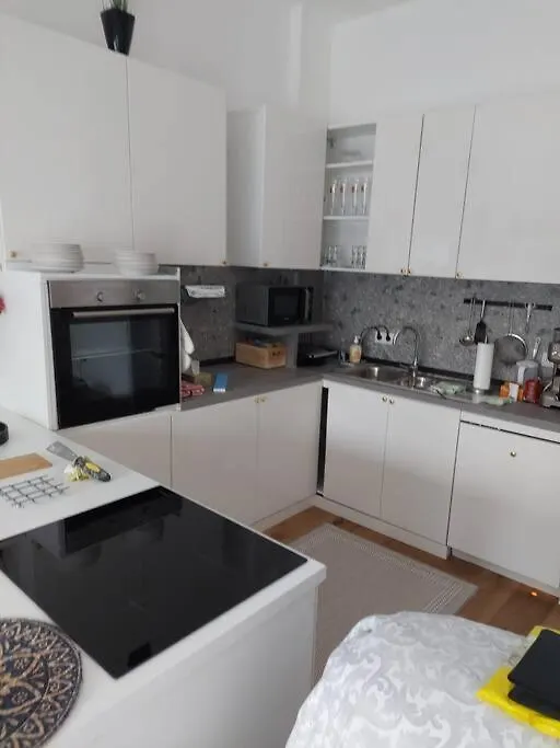 Stilvolle Wohnung Mit Terrasse/Garten Viena Austria